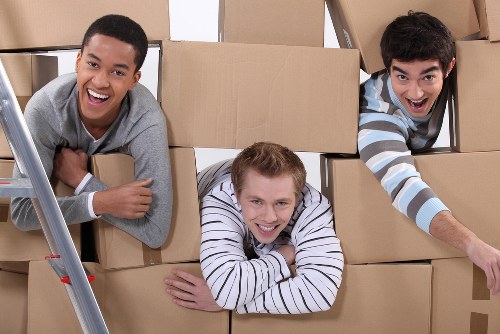 Recycling sorting during a move with boxes, metal, and electrical items