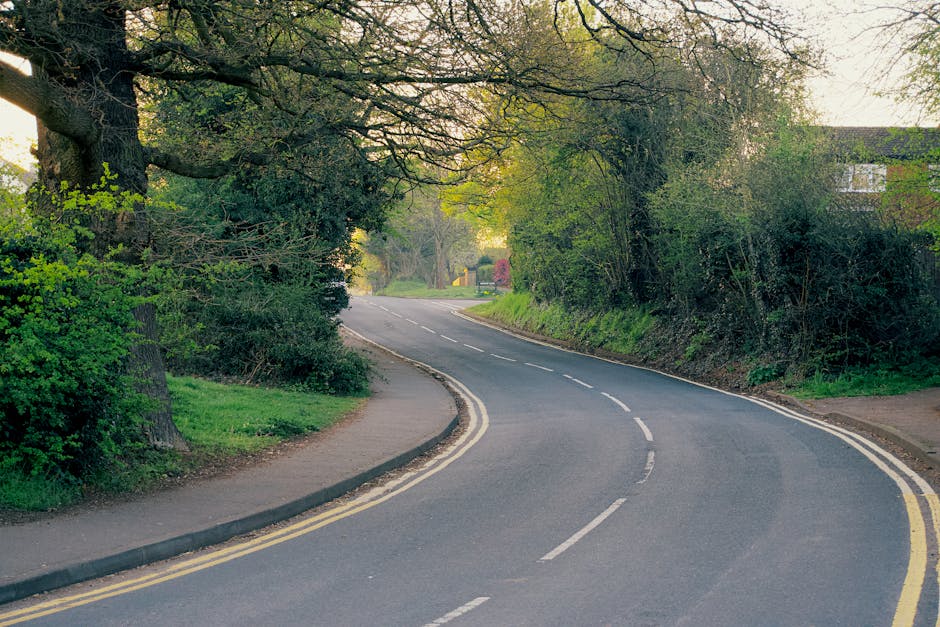 A quiet residential street with a gently curved tarmac road lined by tall, mature trees on both sides, their branches extending overhead. The street features a narrow pavement on the left side, with a grassy verge separating it from the road. In the background, there are glimpses of houses partially obscured by foliage, and the lighting suggests a bright, clear day with natural sunlight filtering through the branches. This street scene depicts a typical suburban environment suitable for house removals and furniture transport, where careful planning for streetside access is essential for efficient home relocation. Occasionally, residential properties on streets like Aldborough Hatch Lane are accessed for loading and unloading movement-related items, such as boxes, furniture, and appliances, during the packing and loading process with the assistance of professional removal services like Man with Van Aldborough Hatch.