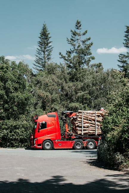 A red heavy-duty Man with Van Aldborough Hatch truck parked in an outdoor area next to tall evergreen trees and dense greenery under a clear blue sky. The truck's side panel is open, revealing a load of neatly stacked wooden logs secured with straps for safe transport. The surrounding environment includes asphalt pavement, and the truck appears to be in the process of loading or unloading, which is typical during home relocations or furniture transport as part of professional removals services. The scene highlights the logistical aspect of moving large, bulky items as part of a house removal or furniture transfer, consistent with services offered by Man with Van Aldborough Hatch.