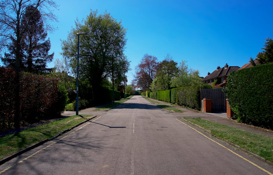 A quiet residential street in Aldborough Hatch during daytime with a clear blue sky. The road is paved with asphalt and has white dashed lines in the center, bordered by narrow grass verges on both sides. On the left, there are tall trees casting shadows on the pavement and a lamppost positioned near the curb. On the right, there are well-maintained front gardens enclosed by green hedges and brick walls, with some featuring black wooden gates leading to residential properties. The houses, partially visible behind the hedges, have sloped roofs with dark tiles. Sparse leaf clusters on the trees indicate early spring. The scene appears calm and typical of suburban living, suggesting a suitable route for home relocation or furniture transport. Man with Van Aldborough Hatch may coordinate with such locations for efficient loading and unloading during removals or moving services.